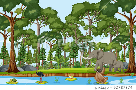 Forest scene with wild animals 92787374