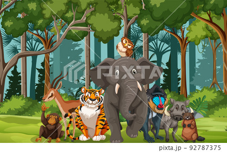 Forest scene with wild animals group 92787375