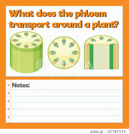 Science Experiment Log Worksheet Science Experiment Log Worksheet 92787554