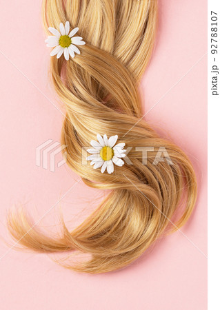 Long golden blond curly hair. A part of blond hair top view on pink background. 92788107