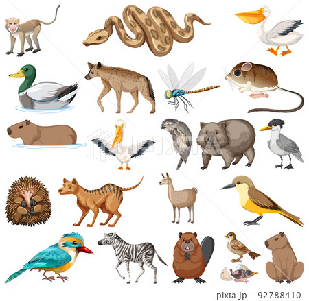 Different kinds of animals collection Different kinds of animals collection 92788410
