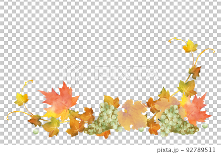 Autumn leaves and grapes decoration watercolor illustration Autumn leaves and grapes decoration watercolor illustration 92789511
