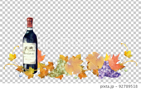 Watercolor illustration of wine bottle, grapes and dead leaves Watercolor illustration of wine bottle, grapes and dead leaves 92789518