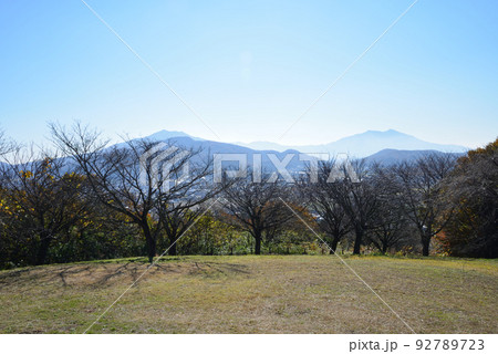 富谷山ふれあい公園　＃1 92789723