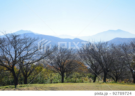 富谷山ふれあい公園　＃2 92789724