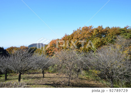 富谷山ふれあい公園 #7 富谷山ふれあい公園 #7 92789729
