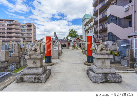 榎神社　狛犬【大阪市東住吉区北田辺】 92789818