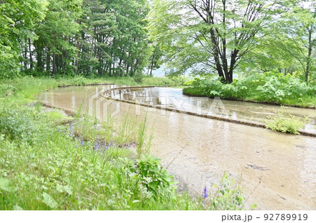 ゆったりと流れる上原温水路 ぬるめ ゆったりと流れる上原温水路 ぬるめ 92789919