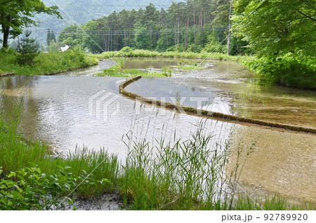広々とした流れの上原温水路 ぬるめ 広々とした流れの上原温水路 ぬるめ 92789920