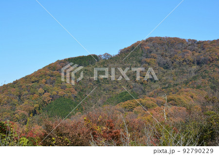 富谷山ふれあい公園 #17 富谷山ふれあい公園 #17 92790229