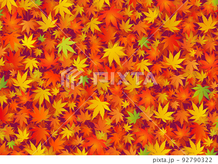 敷き詰められた鮮やかな紅葉の秋イメージ もみじ 楓 92790322