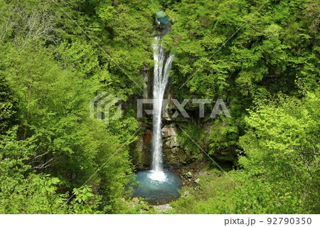 那須高原の駒止の滝(観瀑台から) 那須高原の駒止の滝(観瀑台から) 92790350