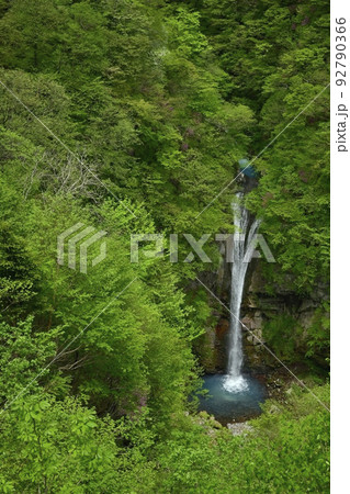 那須高原の駒止の滝（観瀑台から） 92790366