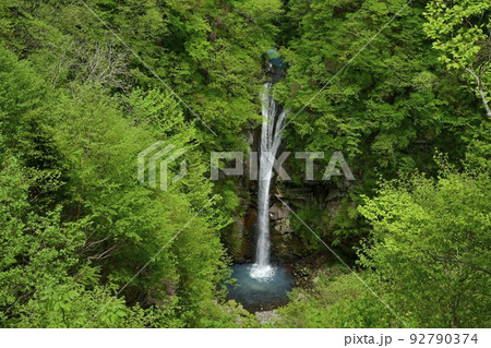 那須高原の駒止の滝（観瀑台から） 92790374