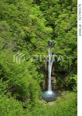 那須高原の駒止の滝(観瀑台から) 那須高原の駒止の滝(観瀑台から) 92790376