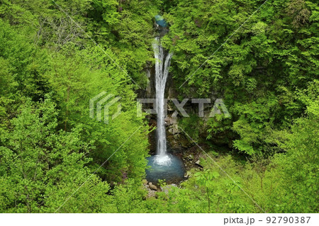 那須高原の駒止の滝（観瀑台から） 92790387