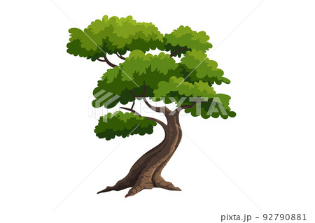 illustration tree for cartoon illustration tree for cartoon 92790881