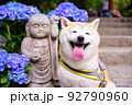 柴犬とお地蔵さん 92790960