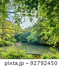木の陰からのぞく池 92792450