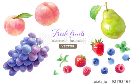 3種のベリー（ラズベリー、ストロベリー、ブルーベリー）と桃、葡萄、梨の水彩イラスト。ベクター。 92792467