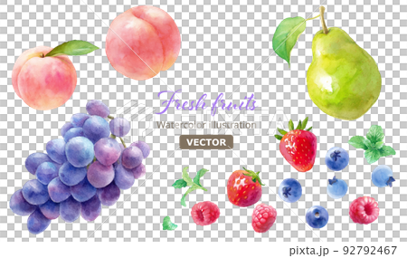 Watercolor illustration of three kinds of berries (raspberry, strawberry, blueberry) and peach, grape and pear. vector. 92792467