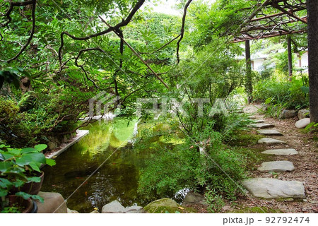 子安地蔵寺_藤の木と石の小道 子安地蔵寺_藤の木と石の小道 92792474
