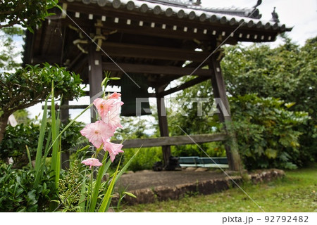 子安地蔵寺_お寺の鐘と朱色の花 子安地蔵寺_お寺の鐘と朱色の花 92792482