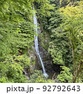 新緑の中の滝 92792643