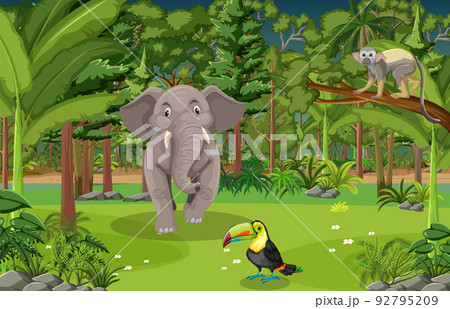Forest scene with various wild animals 92795209