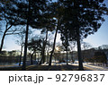 冬キャンプ 朝1 92796837