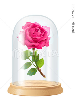 vector pink rose, glass flask vector pink rose, glass flask 92797330