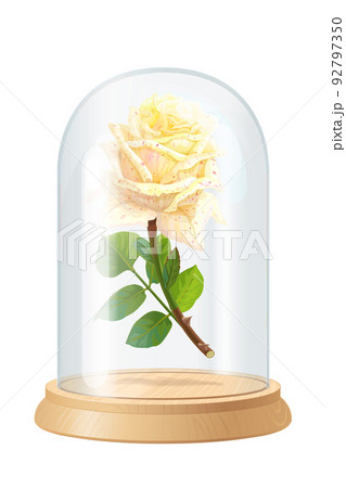 vector white rose, glass flask 92797350