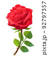 vector realistic rose flower art 92797357