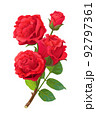 vector realistic rose flower art 92797361