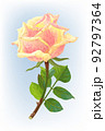 vector realistic rose flower art 92797364