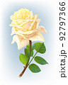 vector realistic rose flower art 92797366
