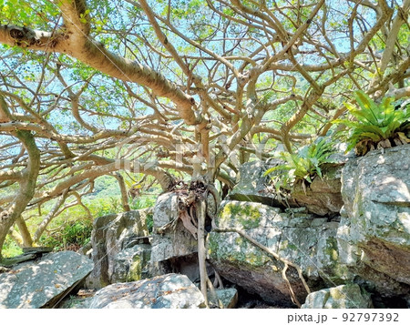 宜蘭 博物館 ミュージアム 92797392