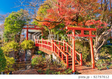 (静岡県)紅葉が美しい、伊豆パノラマパーク・葛城神社 (静岡県)紅葉が美しい、伊豆パノラマパーク・葛城神社 92797612