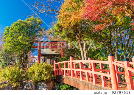 (静岡県)紅葉が美しい、伊豆パノラマパーク・葛城神社 (静岡県)紅葉が美しい、伊豆パノラマパーク・葛城神社 92797613