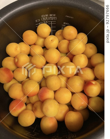 炊飯器でつくるかんたん梅ジュース 炊飯器でつくるかんたん梅ジュース 92797666