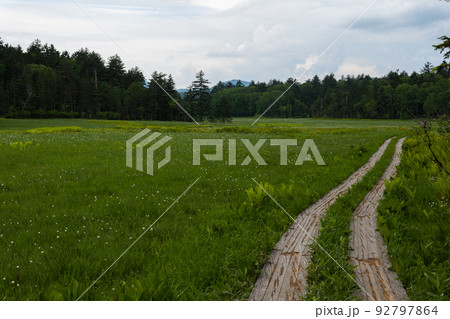 尾瀬大江湿原の木道を進む 尾瀬大江湿原の木道を進む 92797864