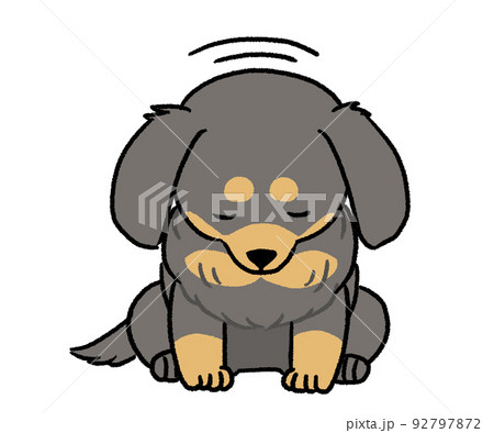 お辞儀している黒色ののダックス お辞儀している黒色ののダックス 92797872