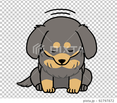 お辞儀している黒色ののダックス お辞儀している黒色ののダックス 92797872