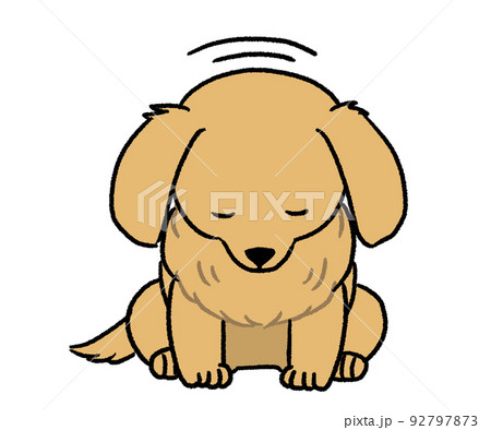 お辞儀しているクリーム色のダックス 92797873