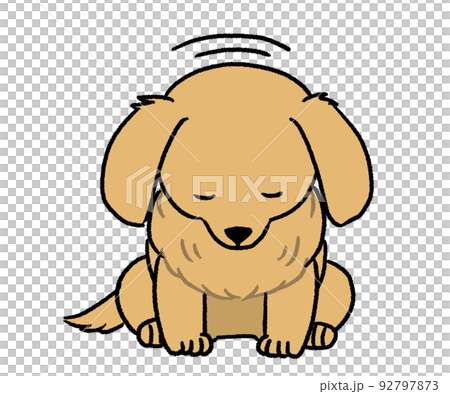 お辞儀しているクリーム色のダックス 92797873