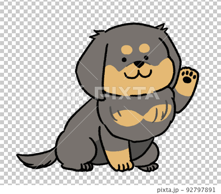 black dachshund raising one hand 92797891