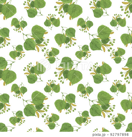 Linden tree seamless pattern with seeds, leaves, branch, honey plant watercolor hand drawn floral illustration, foliage, greenery repeat ornament for textile, home decor Linden tree seamless pattern with seeds, leaves, branch, honey plant watercolor hand drawn floral illustration, foliage, greenery repeat ornament for textile, home decor 92797898