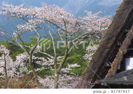 下呂温泉 合掌村 下呂温泉 合掌村 92797937
