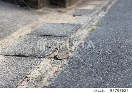 道路に落ちている動物の糞（うんこ） 92798625