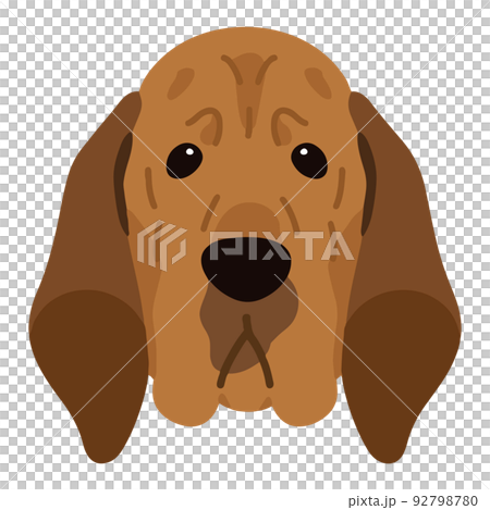 簡單可愛的尋血獵犬正面圖解 無主線 92798780